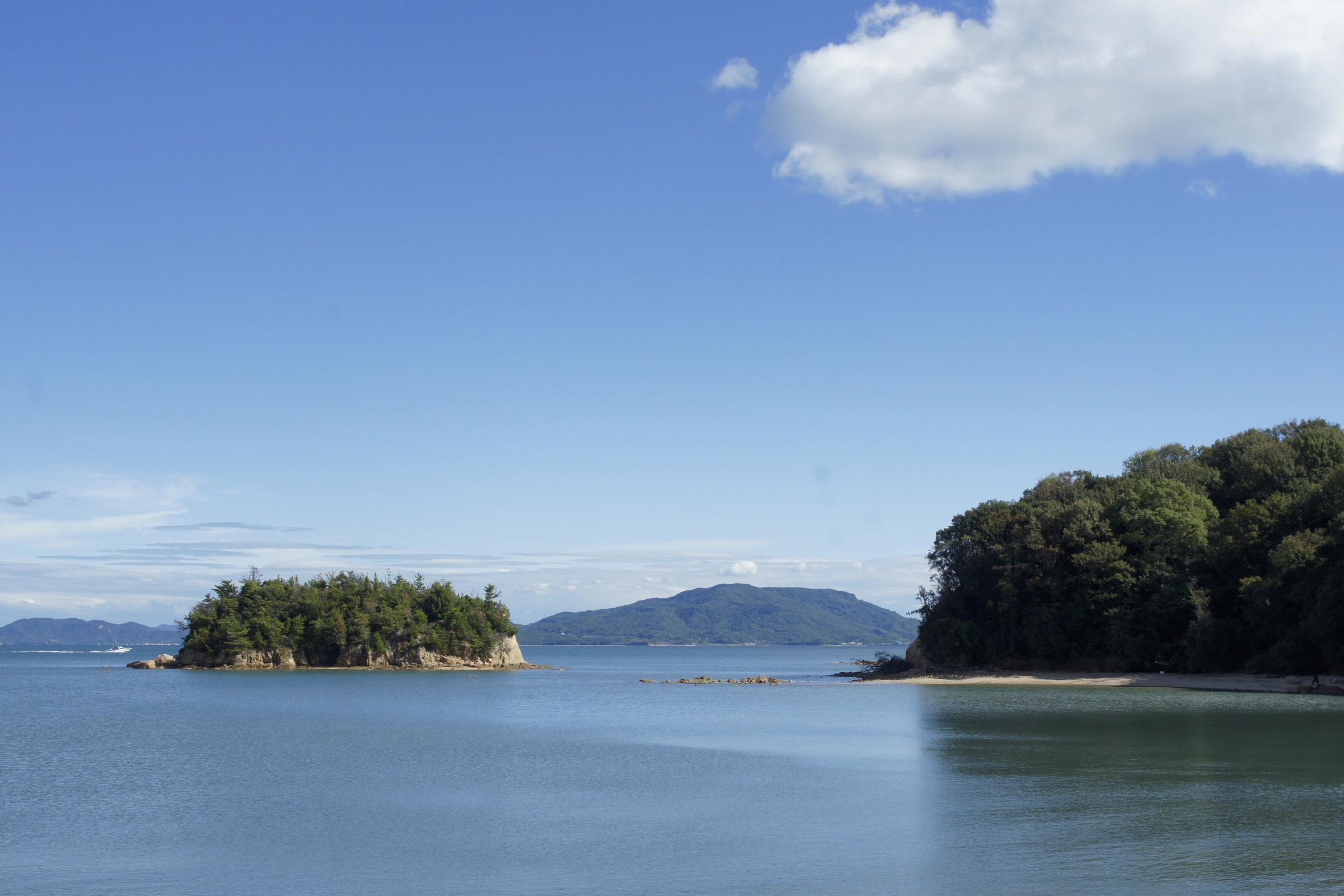 Tamano[1].webp